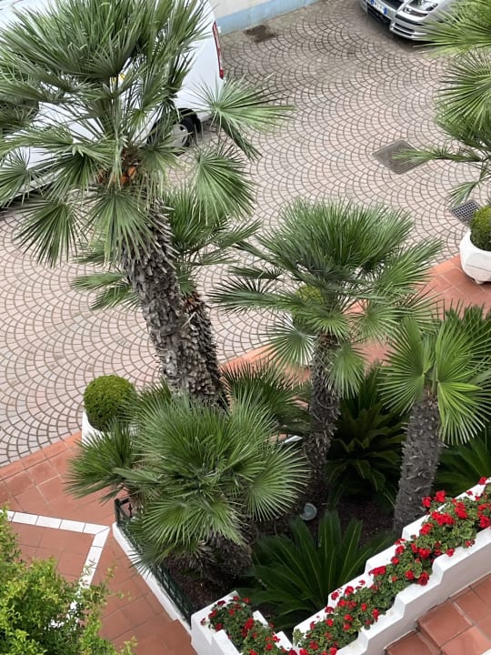 Außenansicht Hotel Savoy