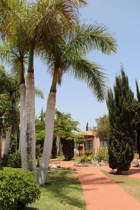 Garten allsun Hotel Esplendido