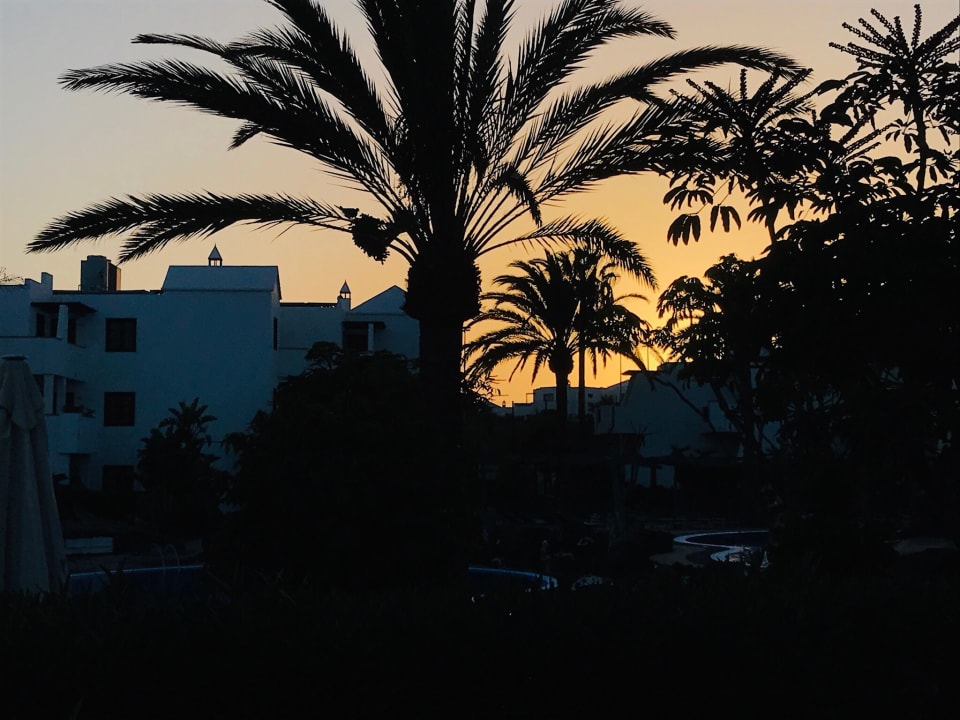 Ausblick allsun App.-Hotel Albatros