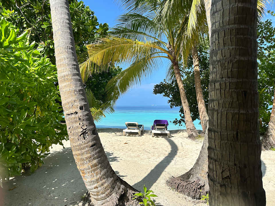 Außenansicht Vilamendhoo Island Resort & Spa