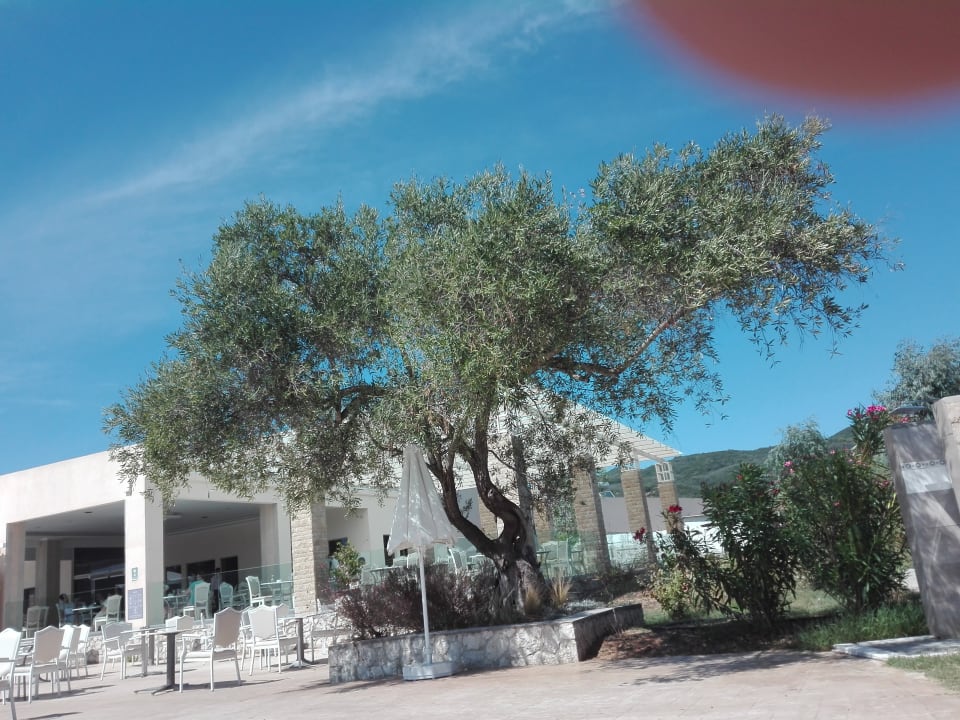 Gastro Sandy Villas Resort