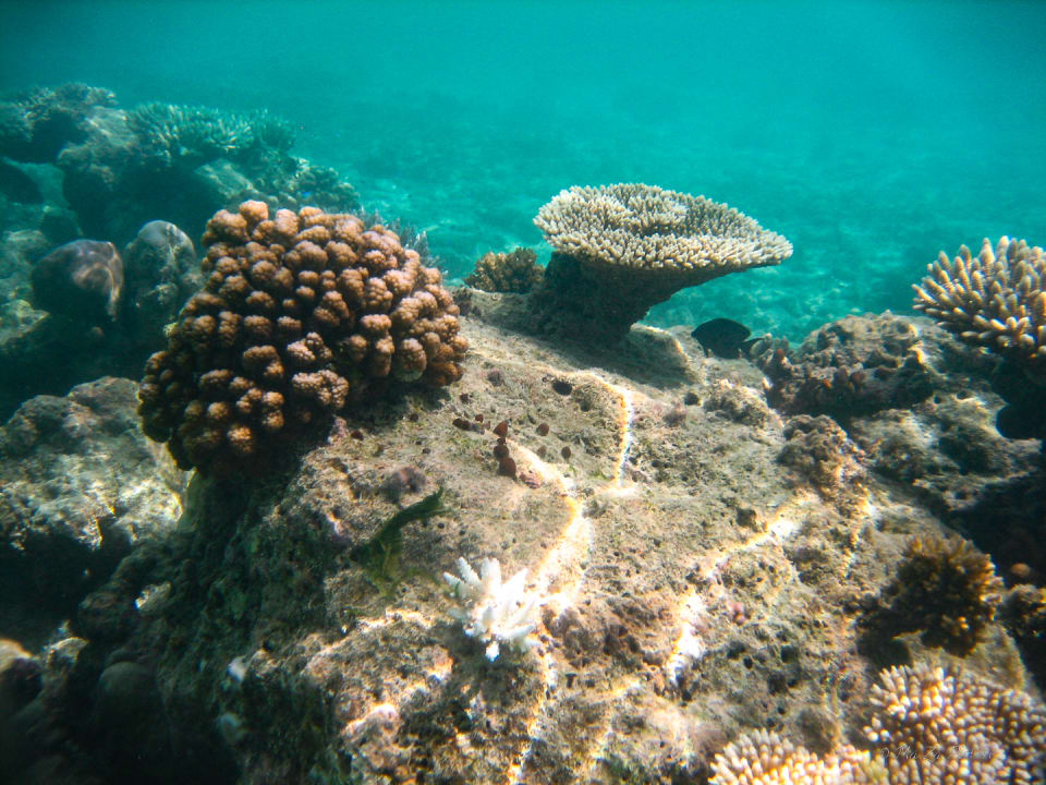 Sport & Freizeit Summer Island Maldives