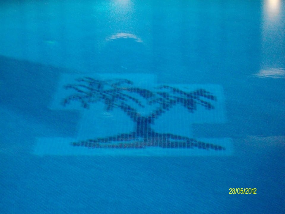 Palmenmotiv Hotel Club Paradiso