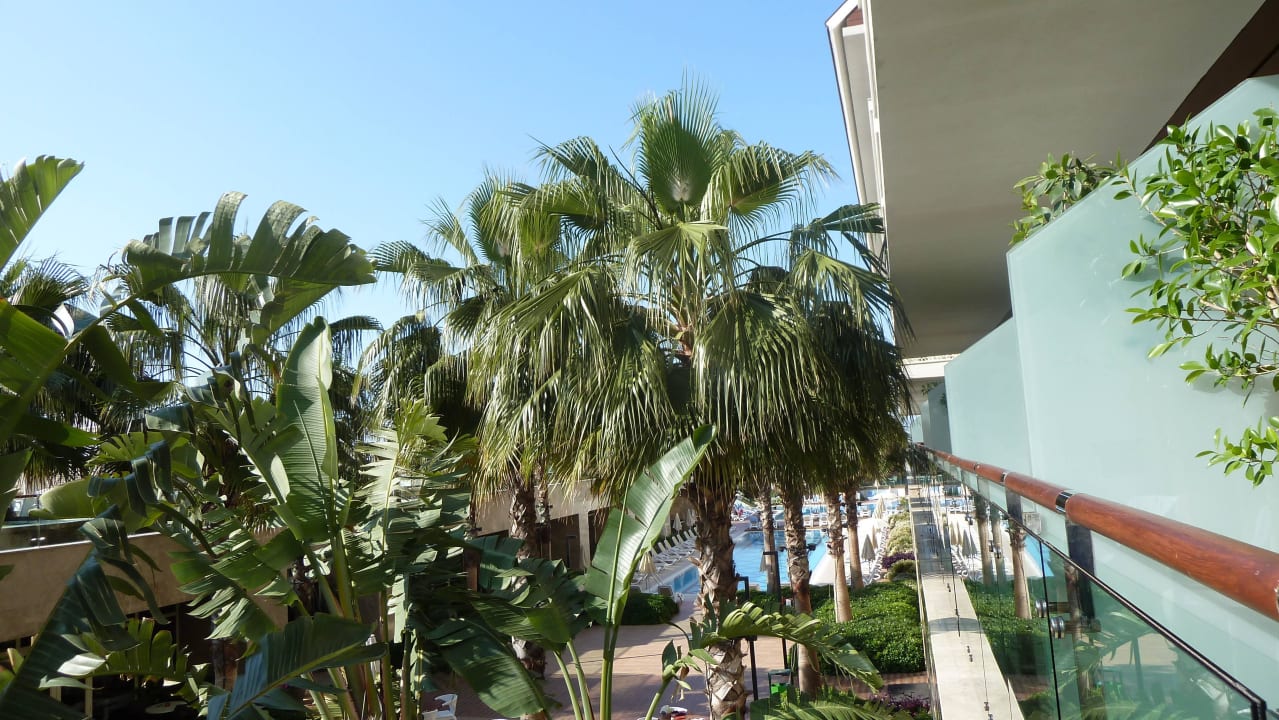 Seitlicher Meerblick ? Sentido Trendy Verbena Beach