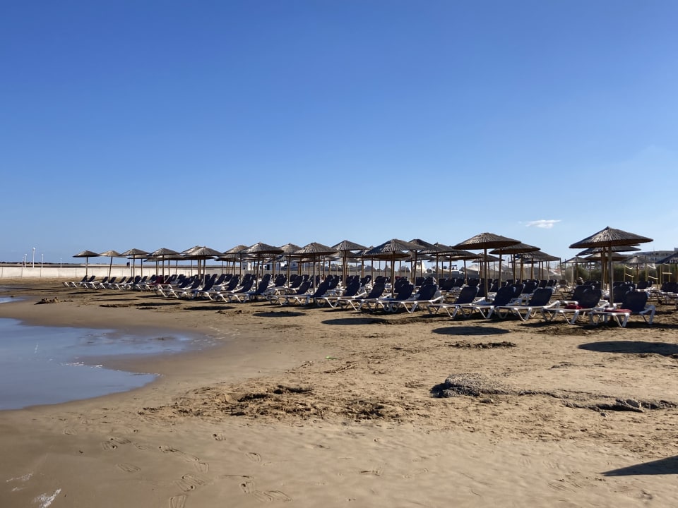 Strand Sol Marina Beach Hotel Kato Gouves HolidayCheck Kreta