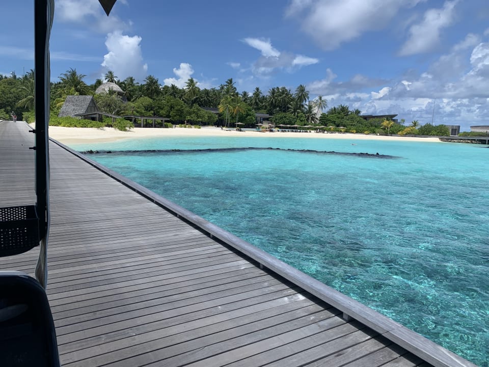 Strand The St. Regis Maldives Vommuli Resort
