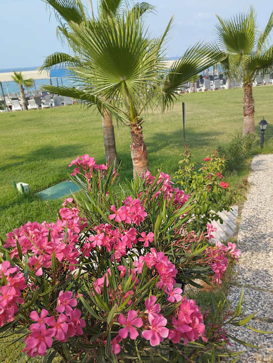 Gartenanlage Sultan of Dreams Hotel & Spa