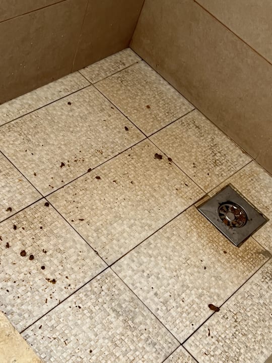 Sonstiges TUI MAGIC LIFE Penelope Beach