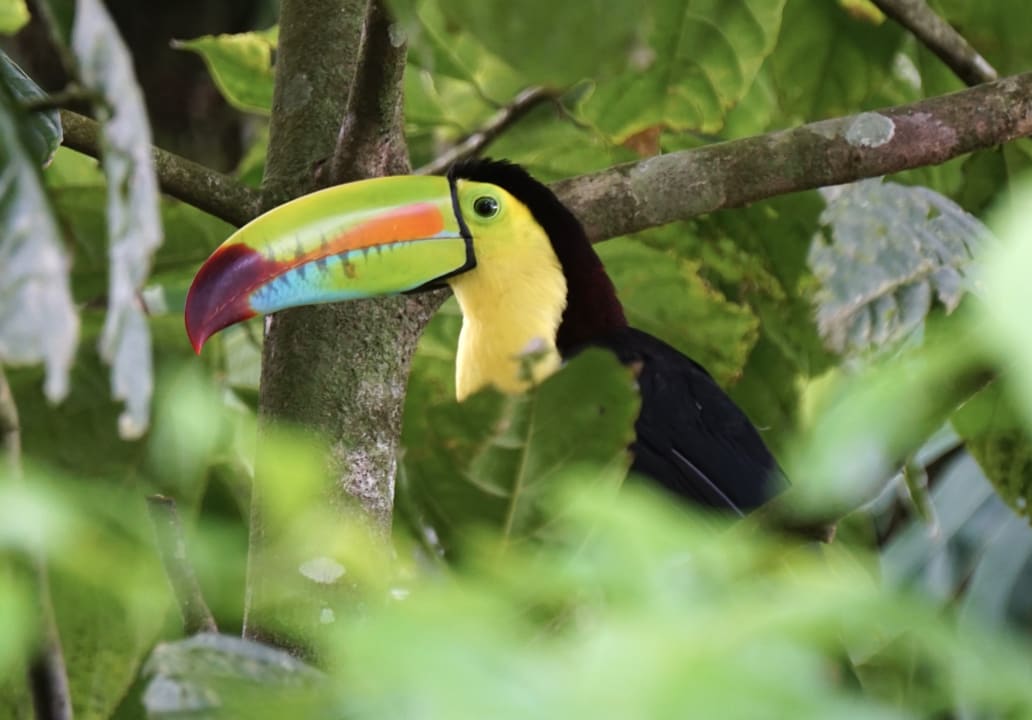 Ausblick Hotel Los Lagos