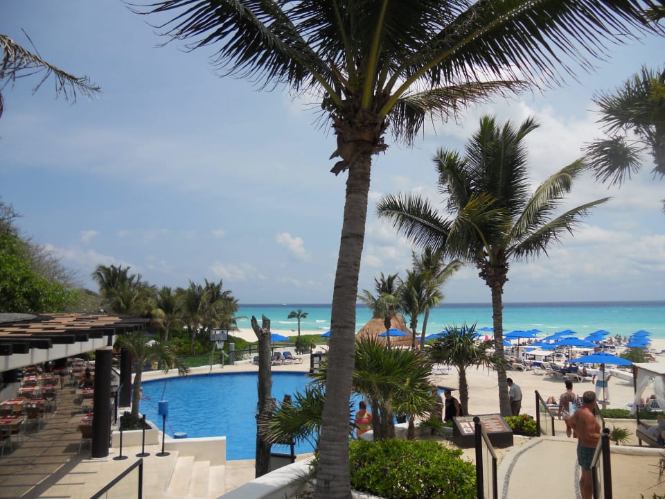 Pool The Reef Playacar