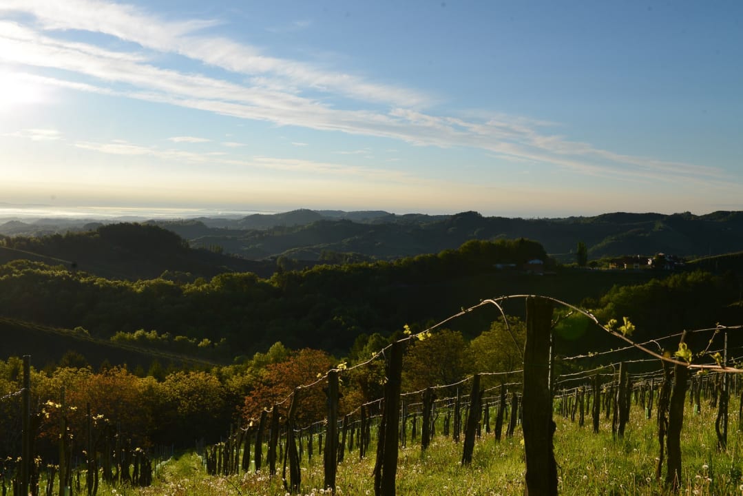 Ausblick Weingut & Buschenschank Pölzl