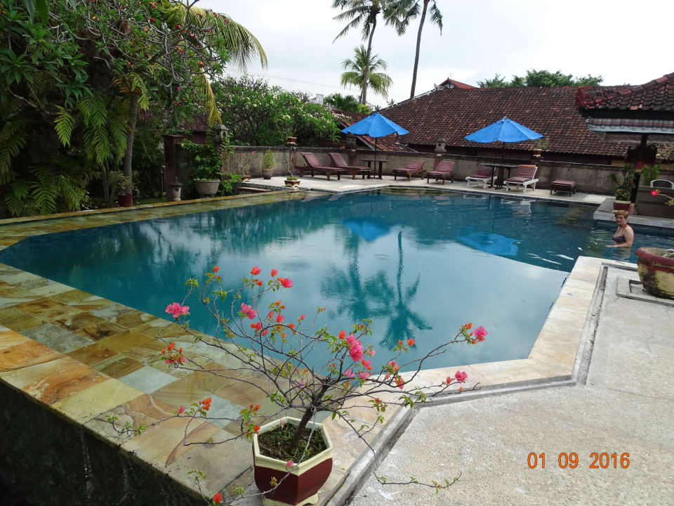 Pool Aditya Beach Resort Lovina