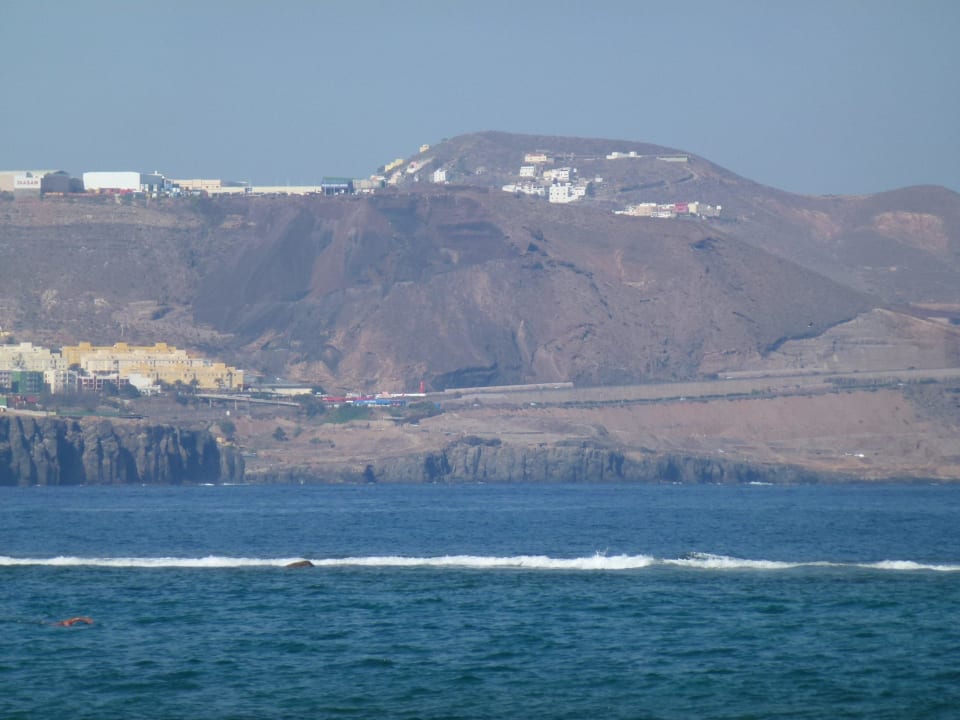 Vom Hotel Bull Reina Isabel & Spa