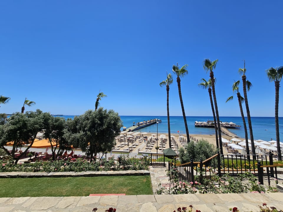 Ausblick Arum Barut Collection
