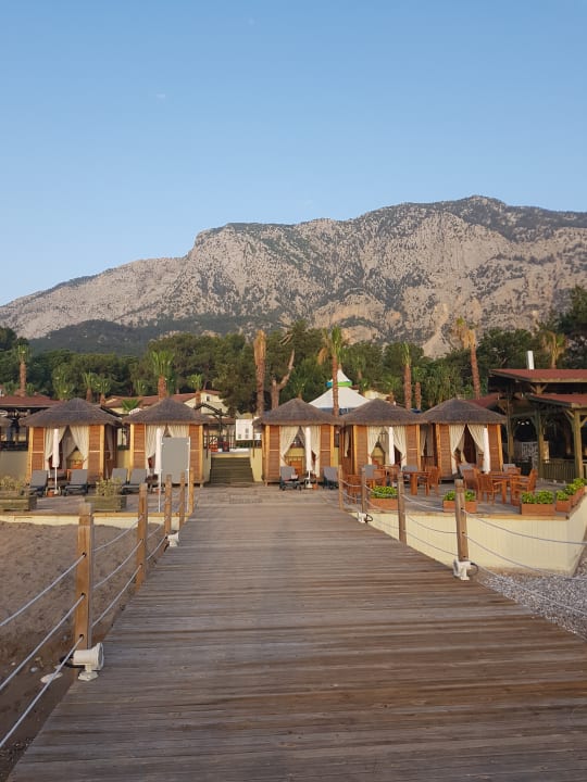 Privat Pier  Crystal Flora Pearl Collection