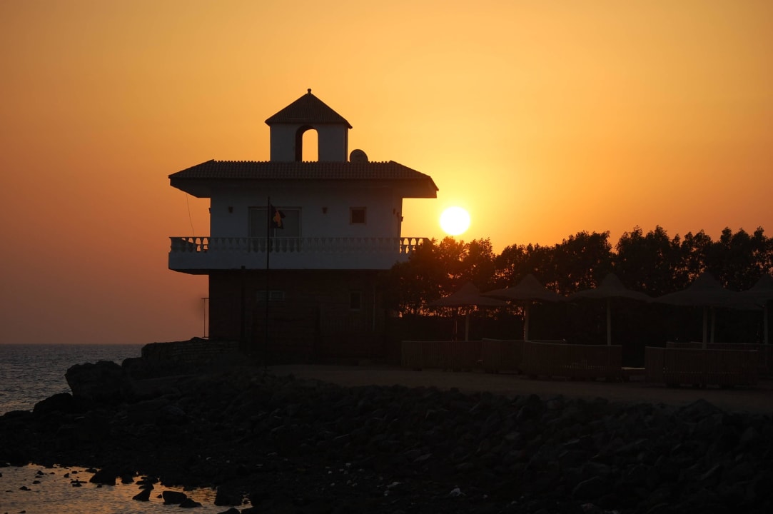 Sonnenaufgang Desert Rose