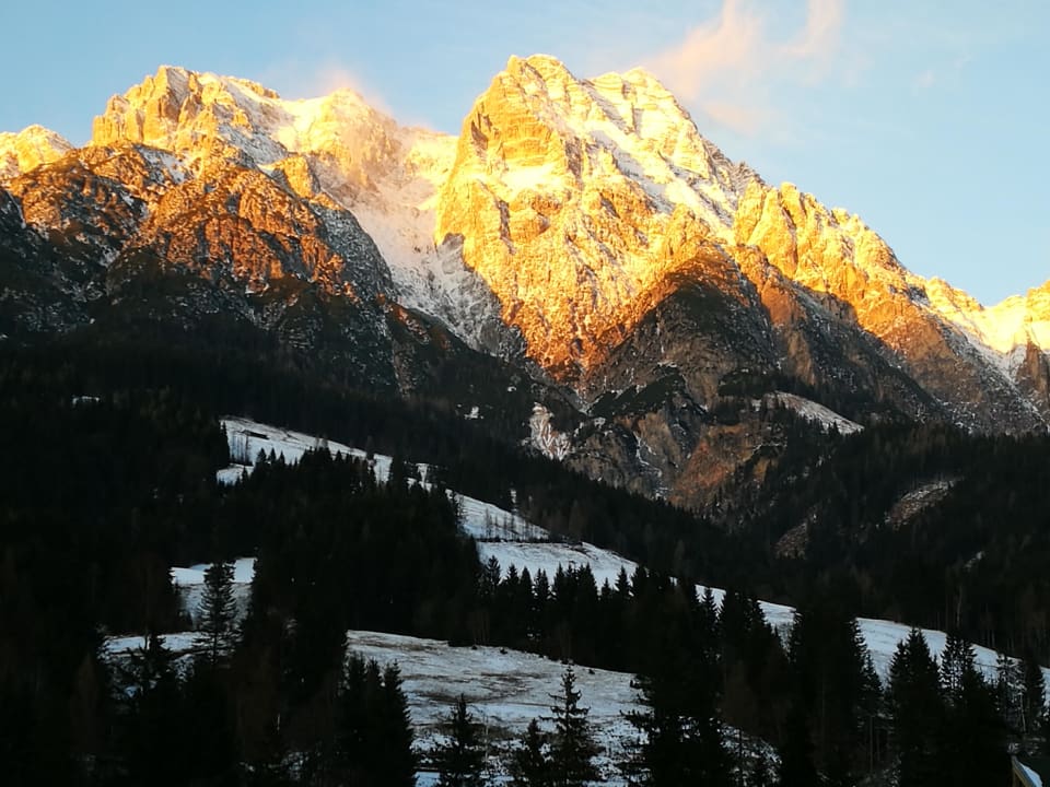 Blick aus dem Fenster Naturhotel Forsthofgut