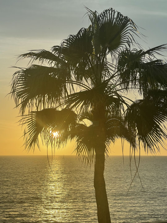 Ausblick Hotel Riu Gran Canaria
