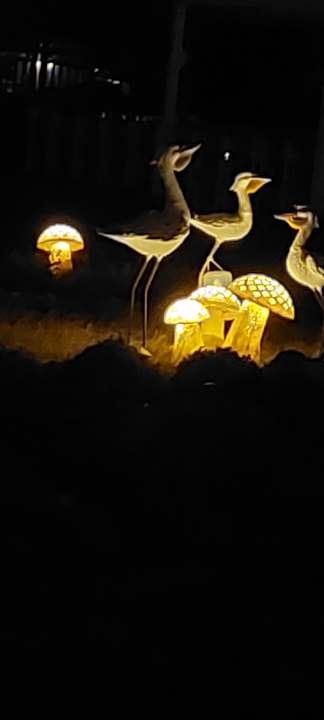 Außenansicht Beach Safari Nubian Resort