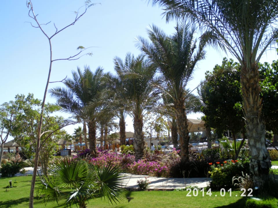 Hotel Governor Amwaj Abu Soma Amwaj Beach Club Abu Soma Resort