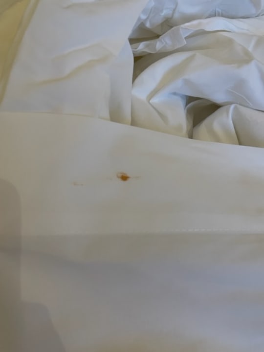 Zimmer Lopesan Costa Bávaro Resort, Spa & Casino