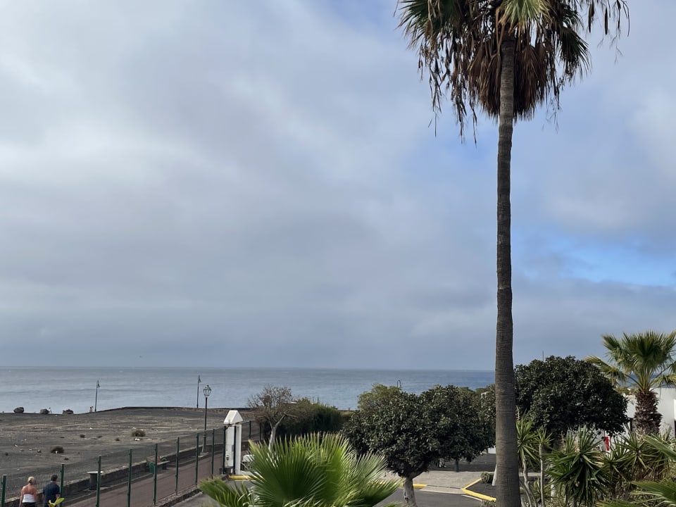 Ausblick allsun App.-Hotel Albatros