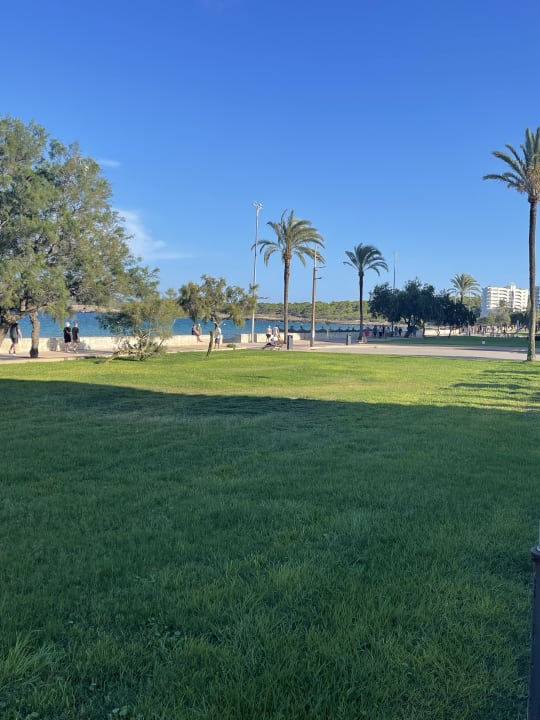 Gartenanlage Hipotels Flamenco