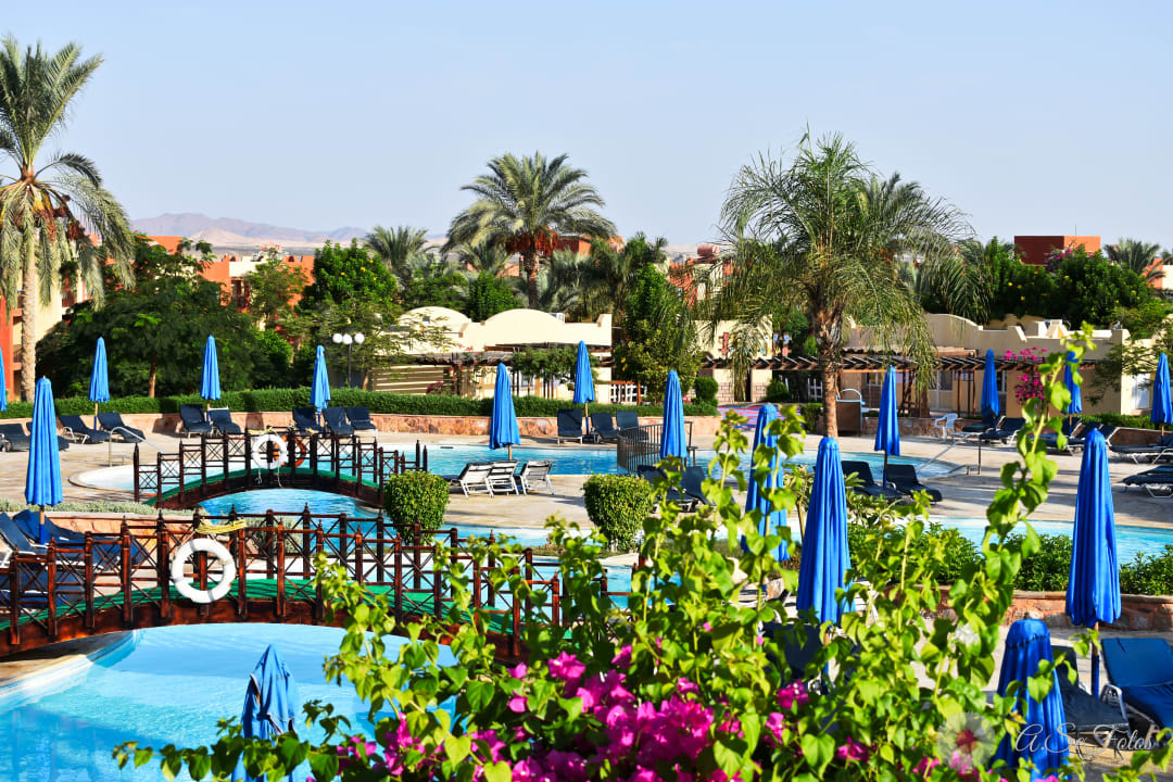 Pool SUNRISE Cardina Resort