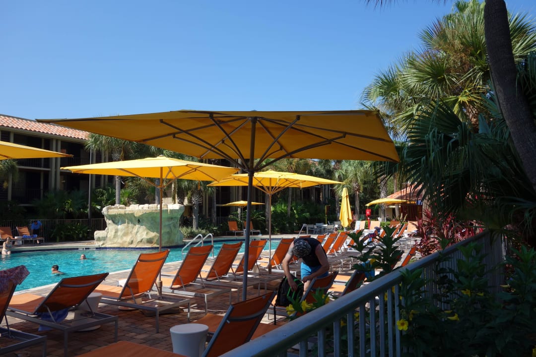 Pool DoubleTree Hotel by Hilton Orlando at SeaWorld