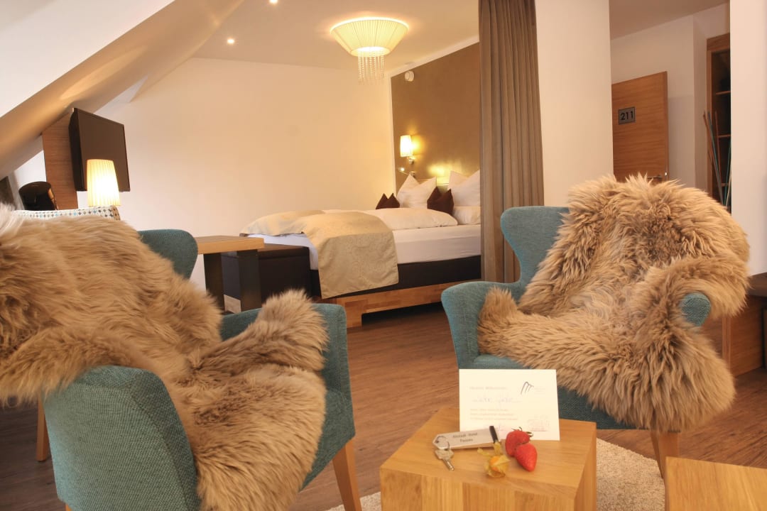 Donaublick-Juniorsuite Altstadt-Hotel Passau