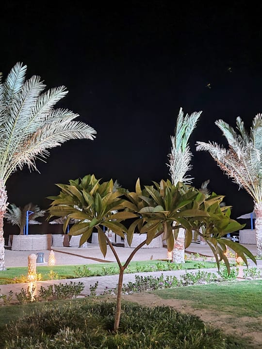 Gartenanlage Coral Sun Beach