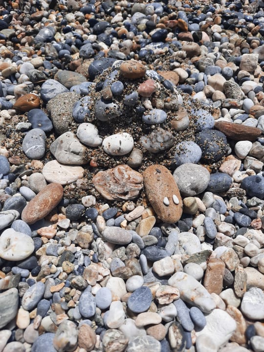 Strand Club Turtas Beach Hotel