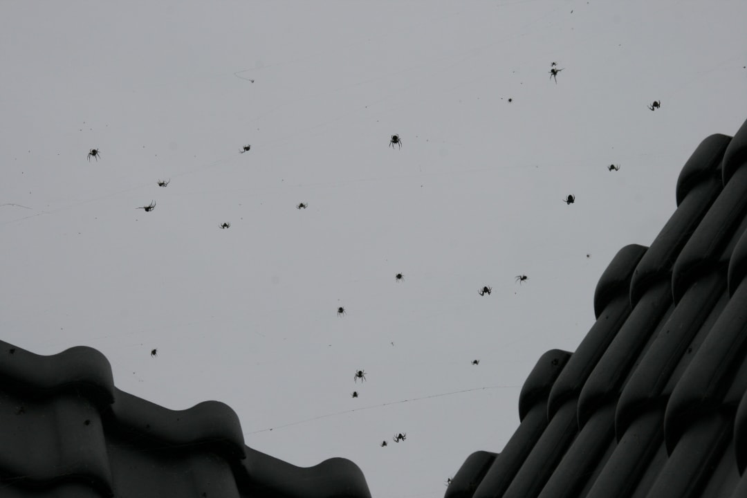 Sonstiges EuroParcs Camping & Jachthaven Uitdam