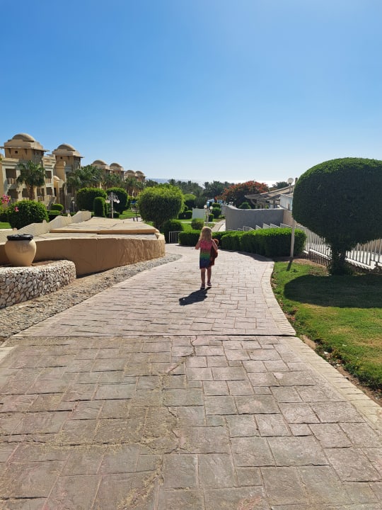 Ausblick Serenity Alpha Beach