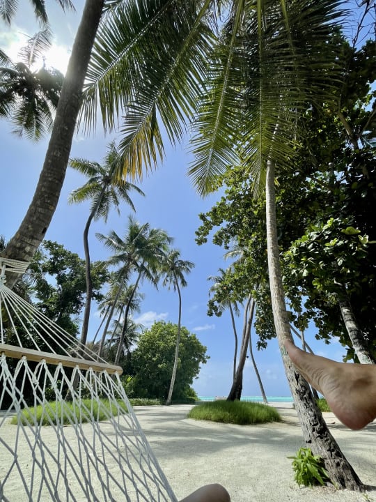 Gartenanlage Le Meridien Maldives Resort & Spa