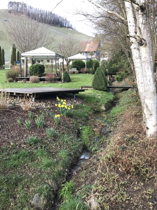 Gartenanlage Hotel Restaurant Rebstock Durbach