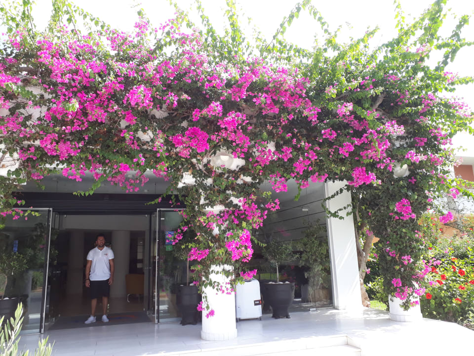 Lobby Anissa Beach & Village