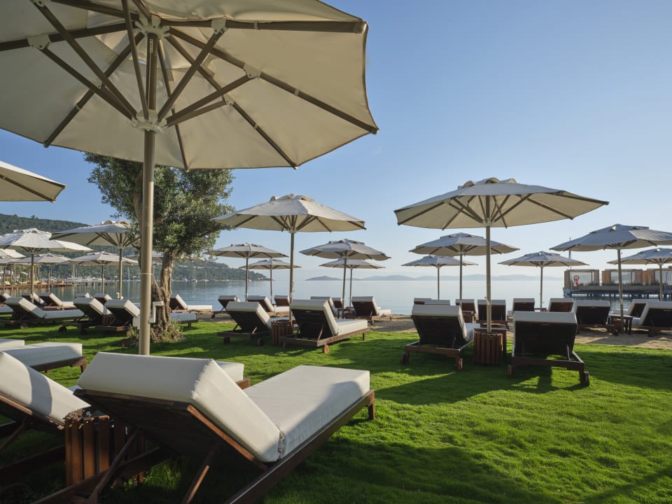 Gartenanlage Voyage Torba