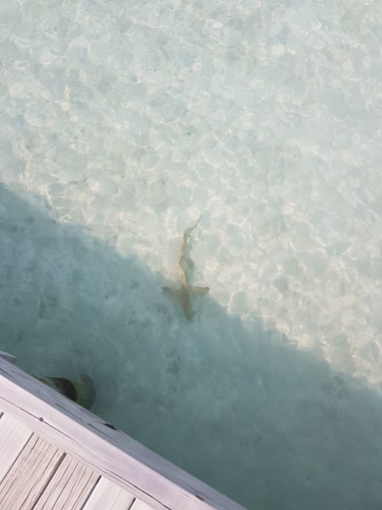 Strand Vilamendhoo Island Resort & Spa