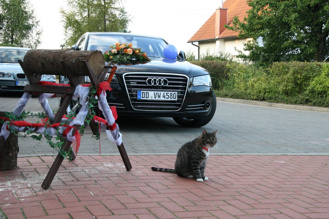 Das Haustier GreenLine Landhotel Dresden