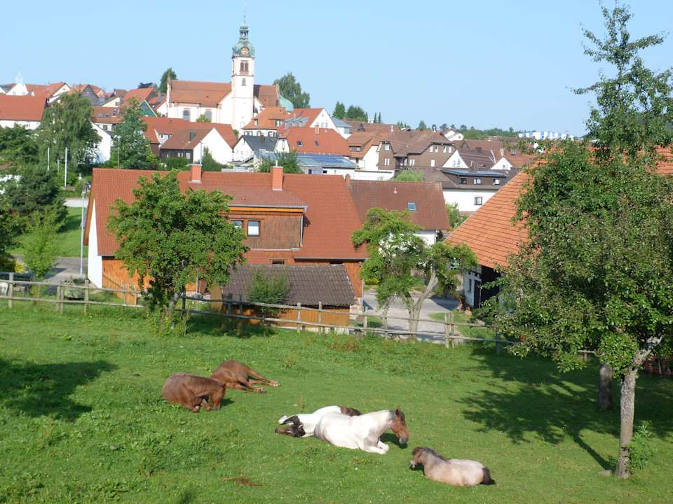 Ausblick Kastanienhof Krämer