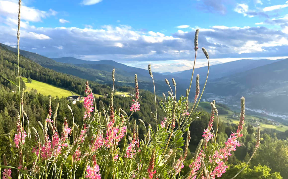 Ausblick Aparthotel Bacher