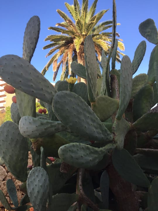 Sonstiges HM Balanguera Beach