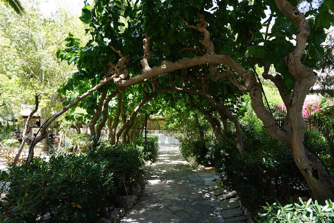 Gartenanlage Apollonia Beach Resort & Spa