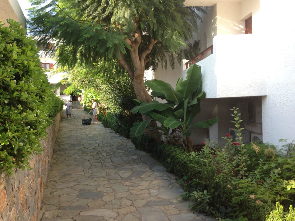 Wege zwischen den Bungalows Sentido Kyknos Beach Adults Only 16+