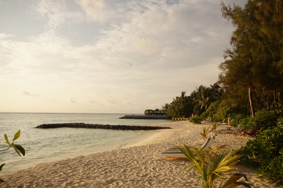 Strand Summer Island Maldives