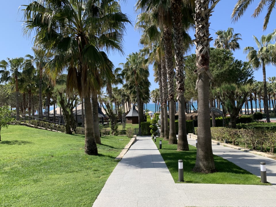 Gartenanlage Hotel Miramare Beach
