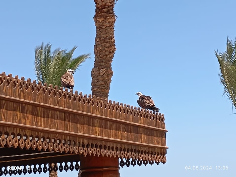 Sonstiges Makadi Spa - Adults only