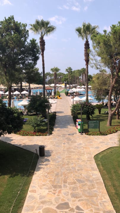 Ausblick Arum Barut Collection
