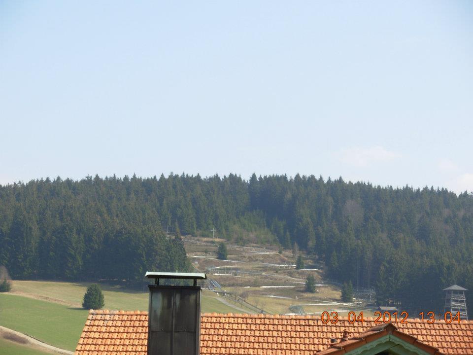 Ausblick zur Sommerrodelbahn Hotel Reinerhof